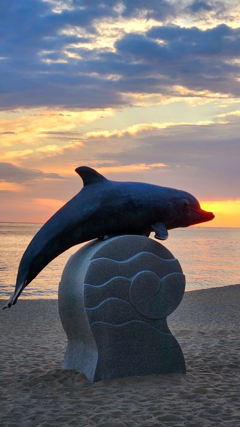 天空, dolphin桌布