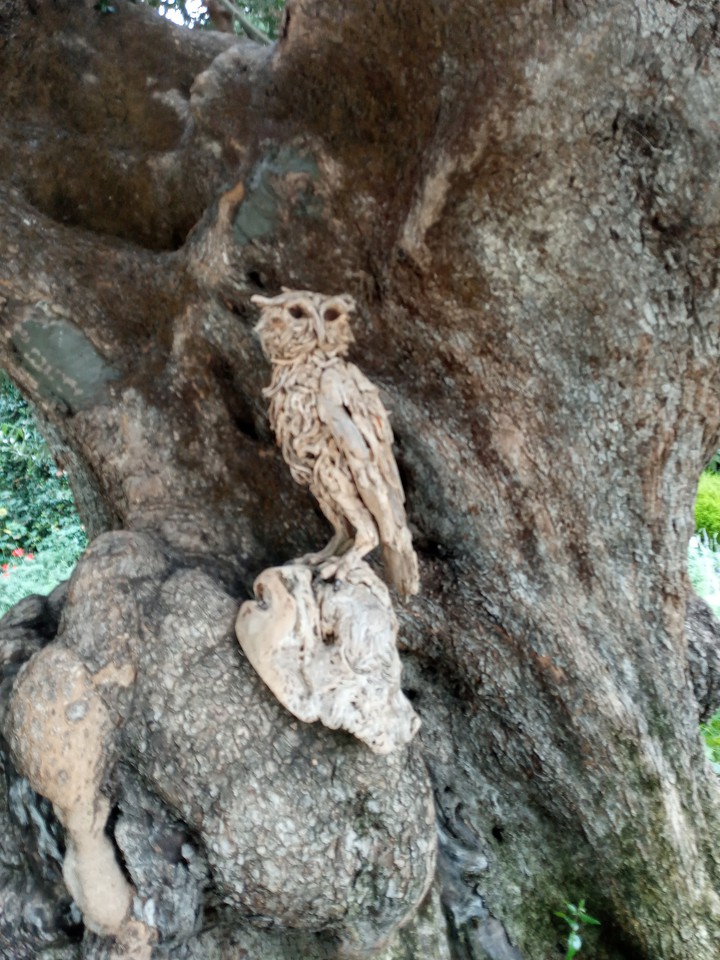 Wooden Owl