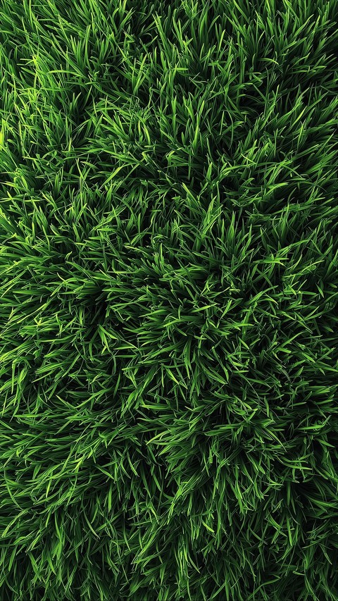 tapety grasses, lawn