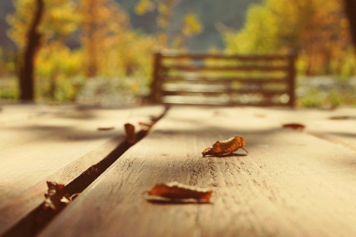 autumn