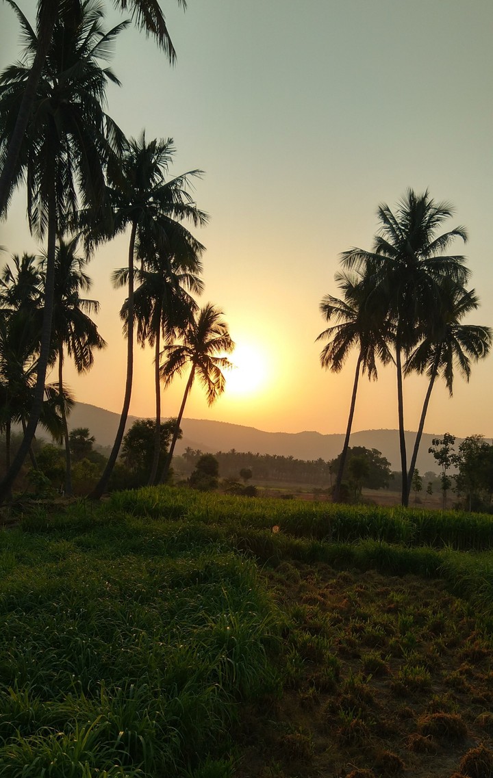 Sunrise