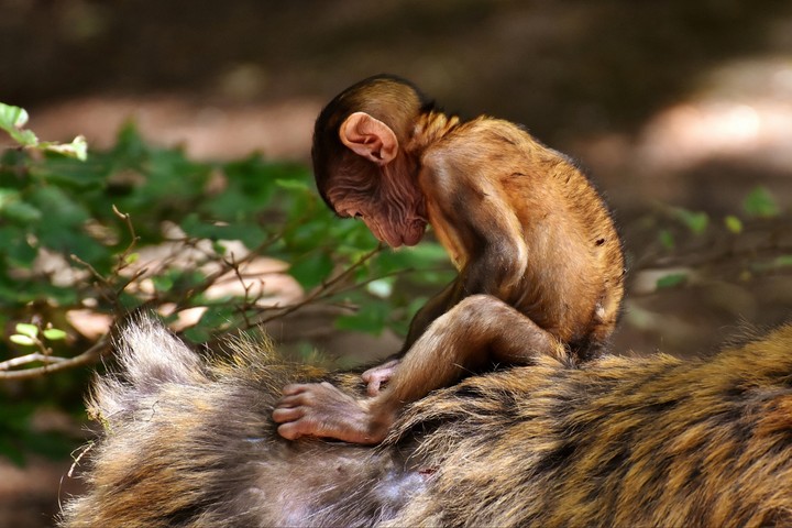 very cute....