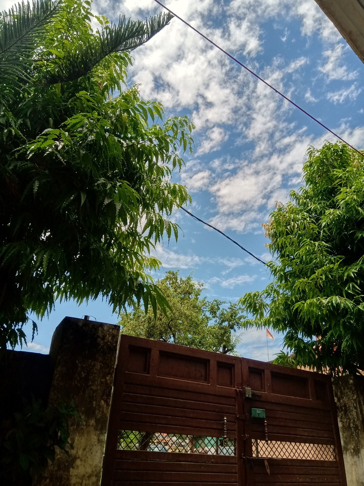 Nature