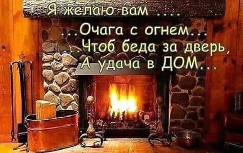 жизнь
