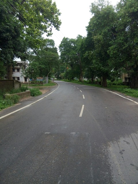 lonely road through the greenery