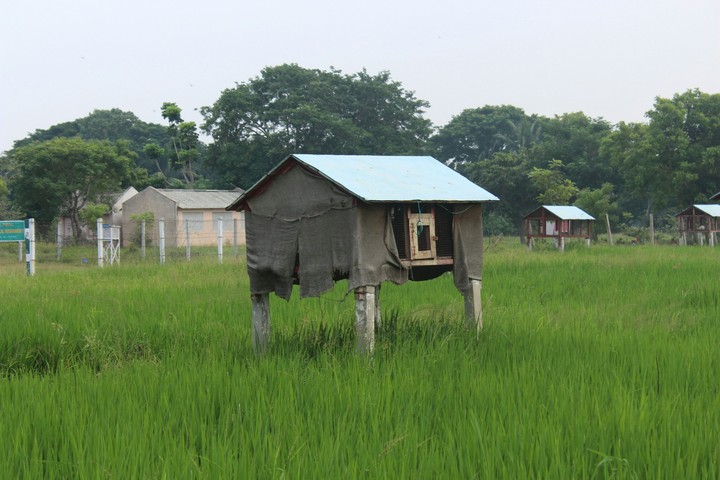 Integrated Farming