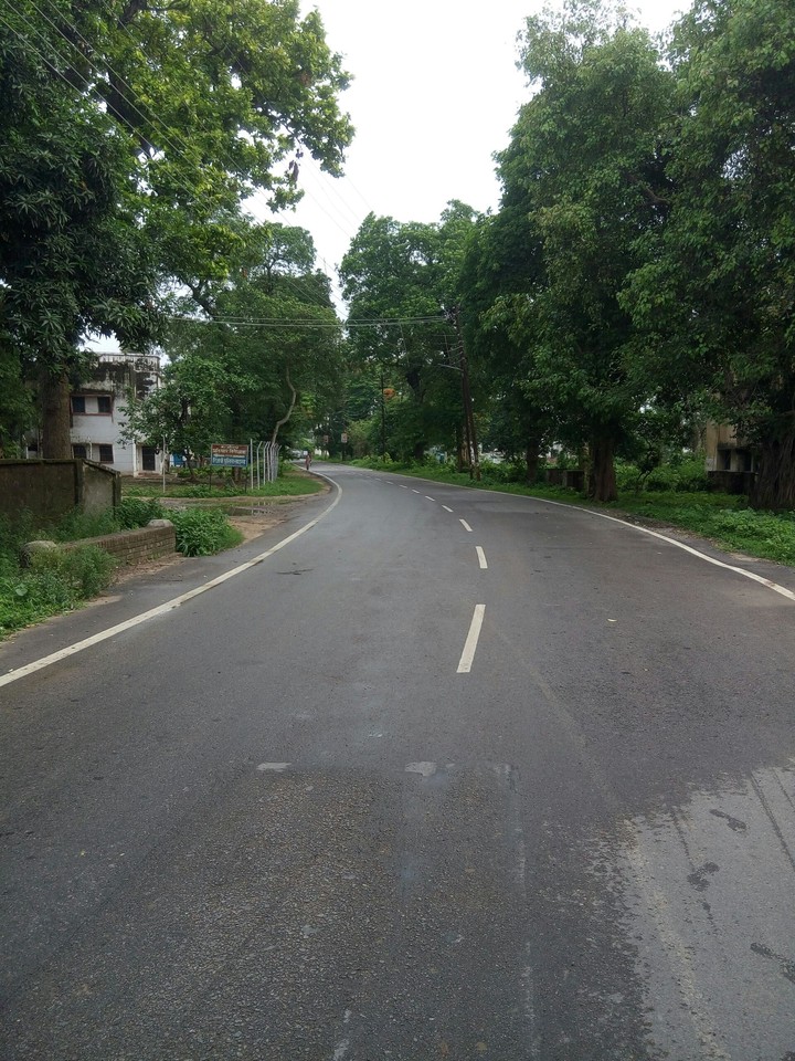 lonely road through the greenery