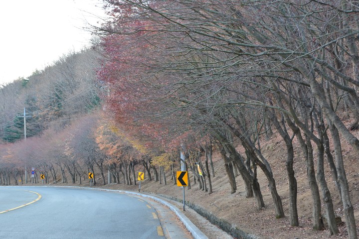 팔공산이미지