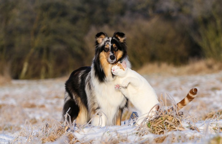 very cute!
