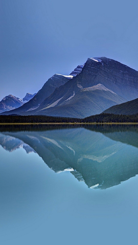 Mount