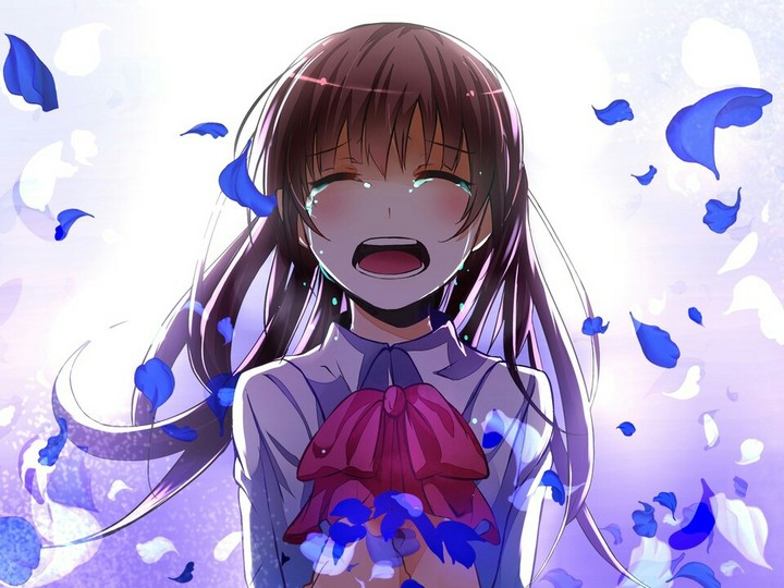 =￣ω￣=