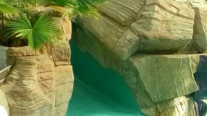 tropical background