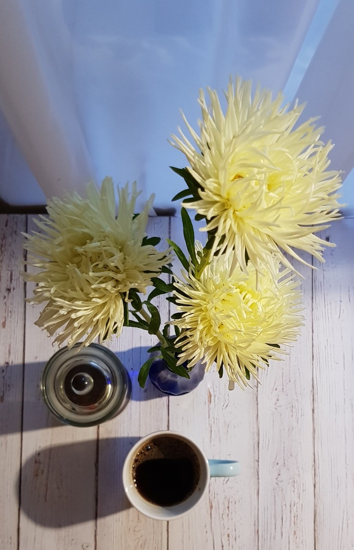 Morning