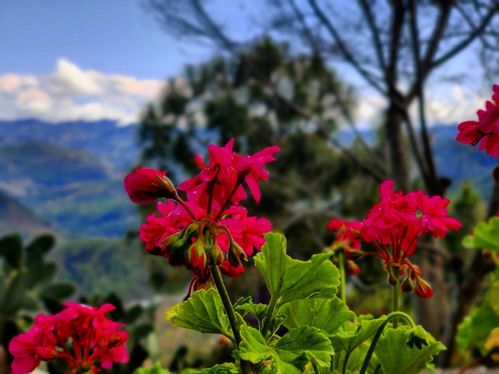 Nature