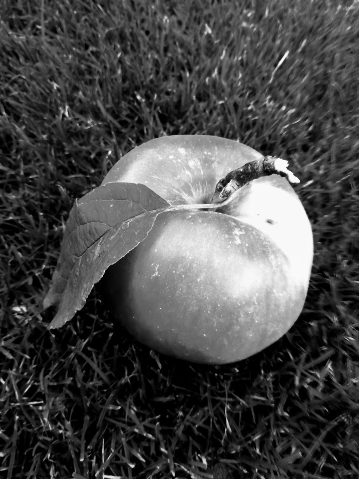 Jabłko Apple