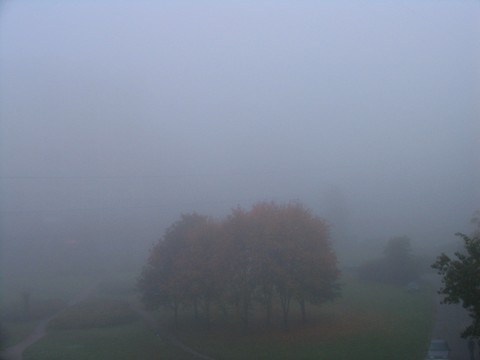 Foggy autumn morning on Vavilovyh st.