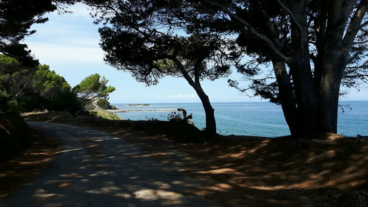 ombra