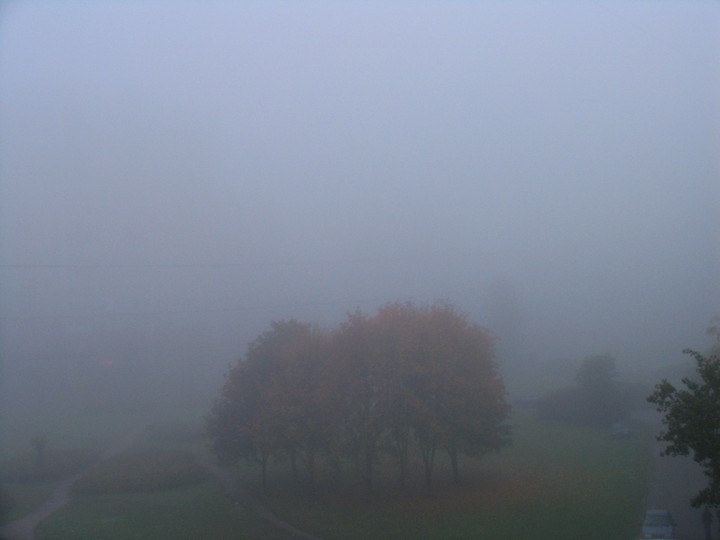 Foggy autumn morning on Vavilovyh st.