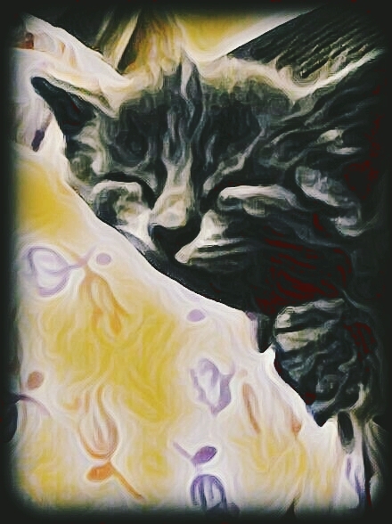 Pretty kitten.