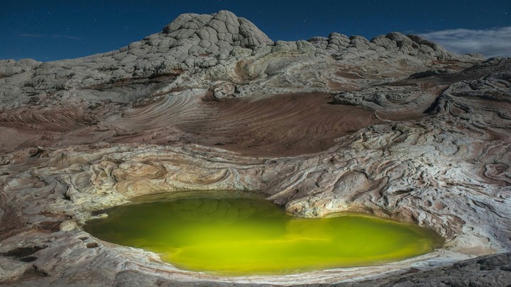 Algae pond