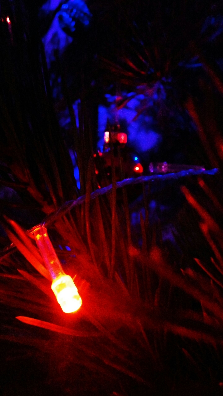 New Year