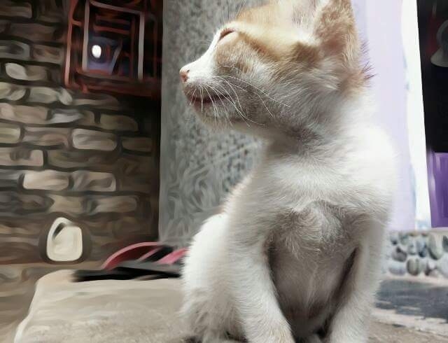i click