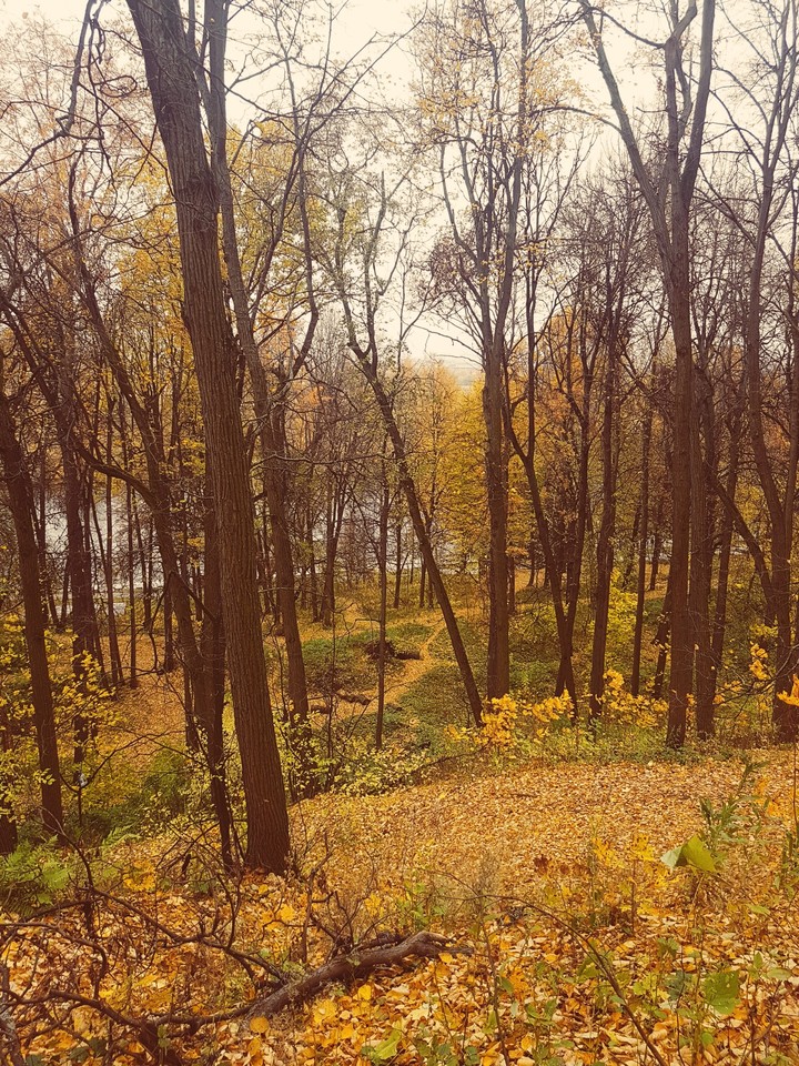 Golden park