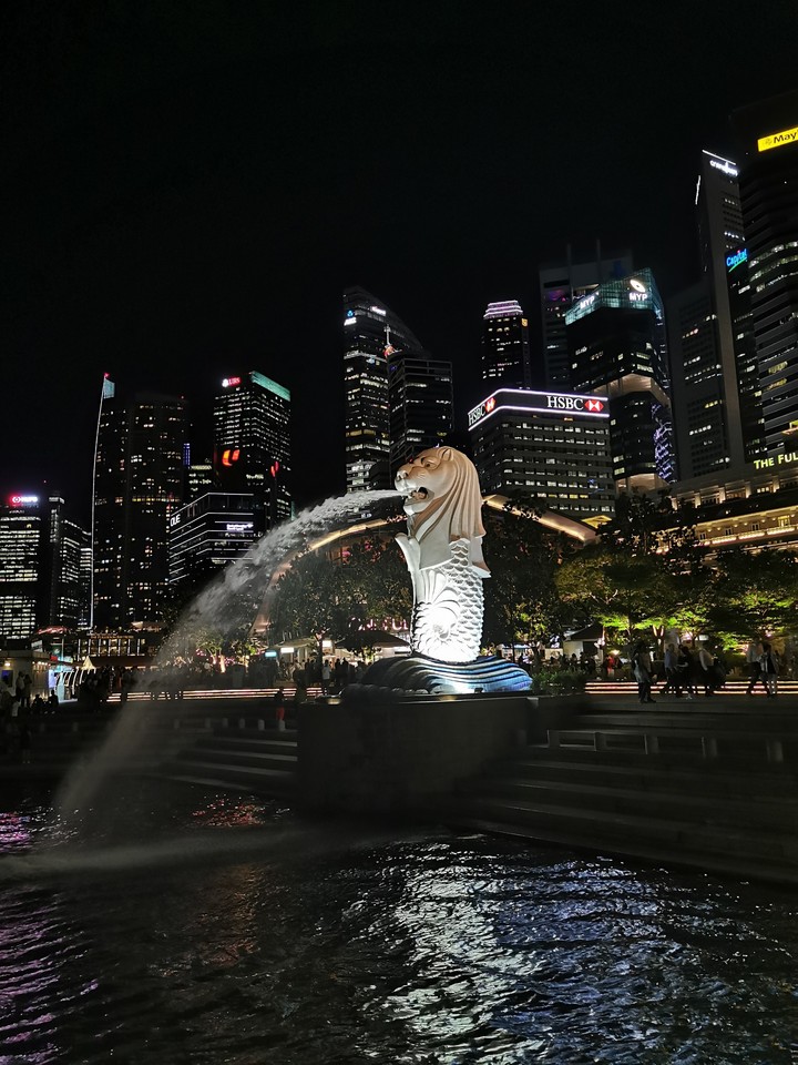 Merlion After Renovation
