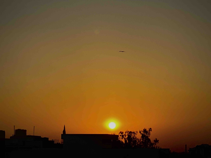 evening sun