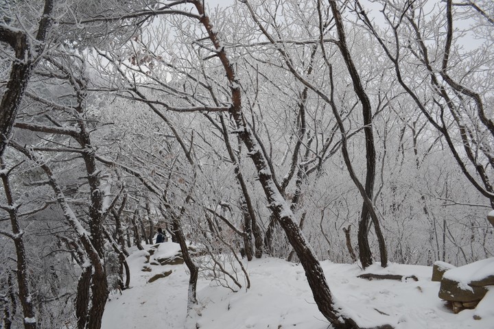 관악산의겨울이미지