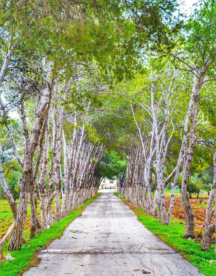 A beautiful city in Jordan ❤ Alramtha ❤
