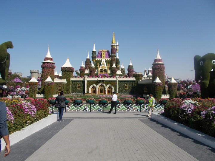 Miracle Garden