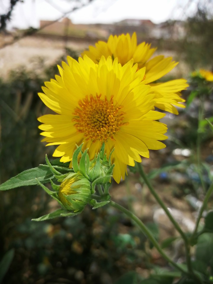 nature
