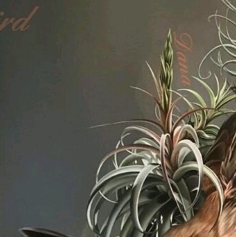 6x puzzle bird