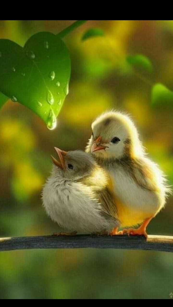 cute