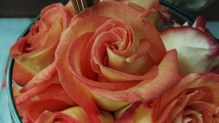 roses