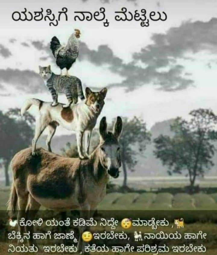 Kannada best saying ever to everyone who see this
