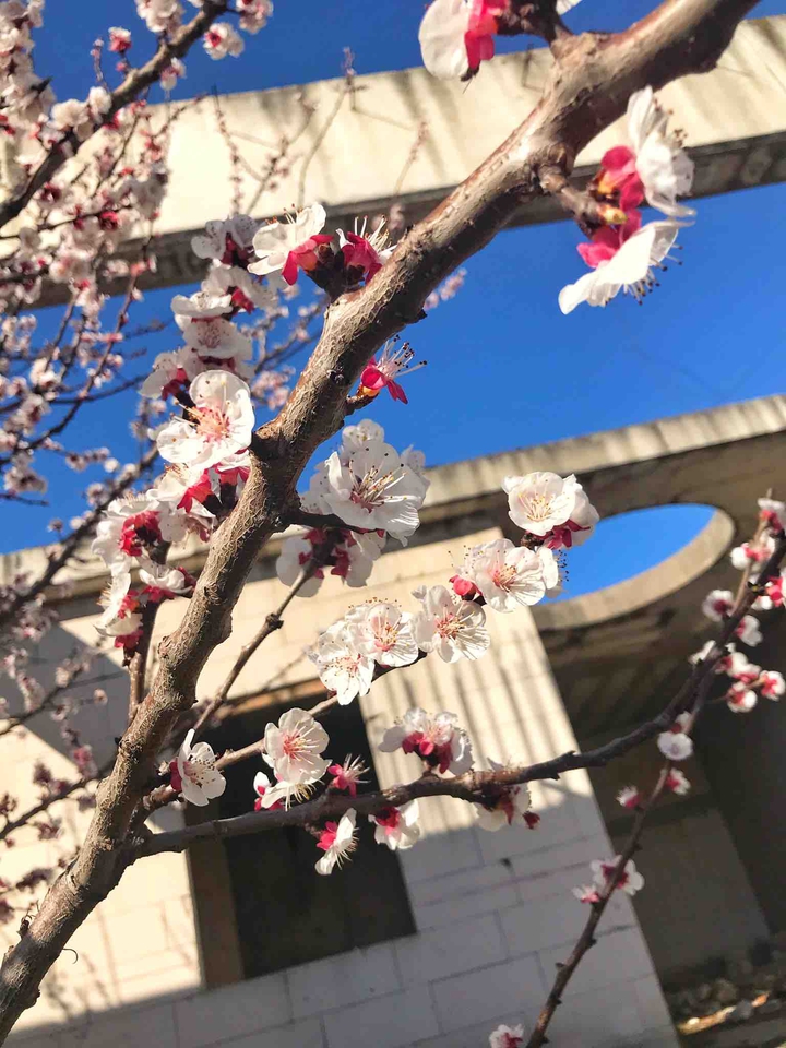 Spring