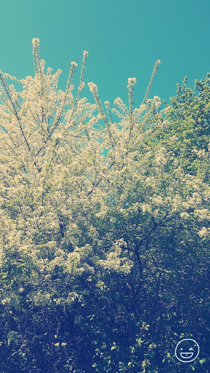 In der Sonne