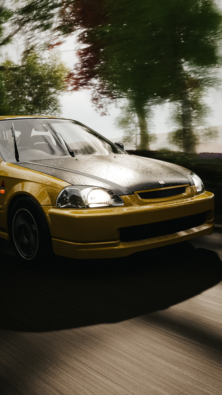 civic 6gn