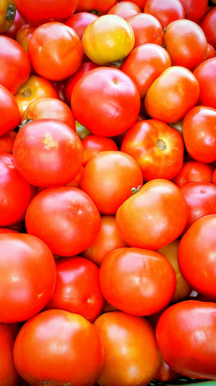 tomato