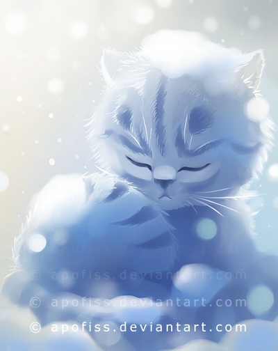 snow cat