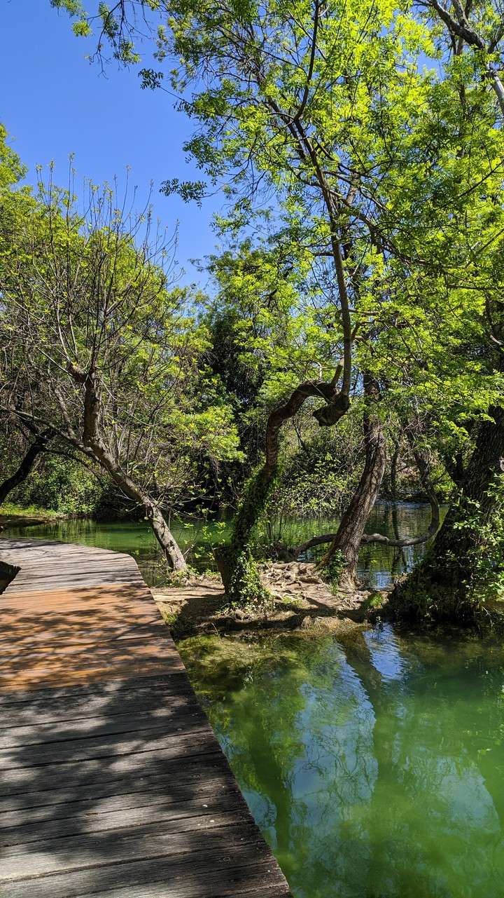 Nature life