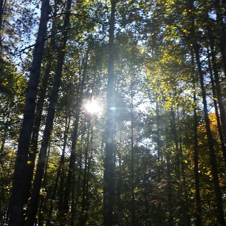 God's nature