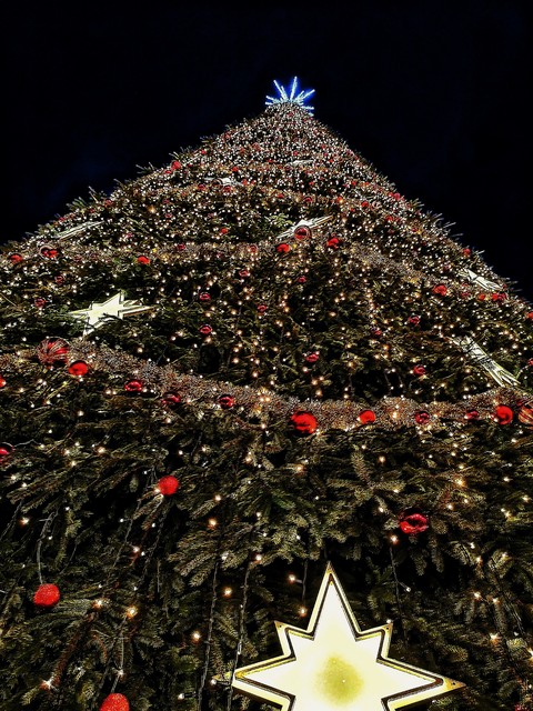 Christmas Tree