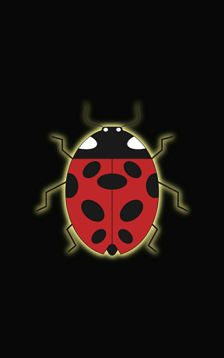LadyBug