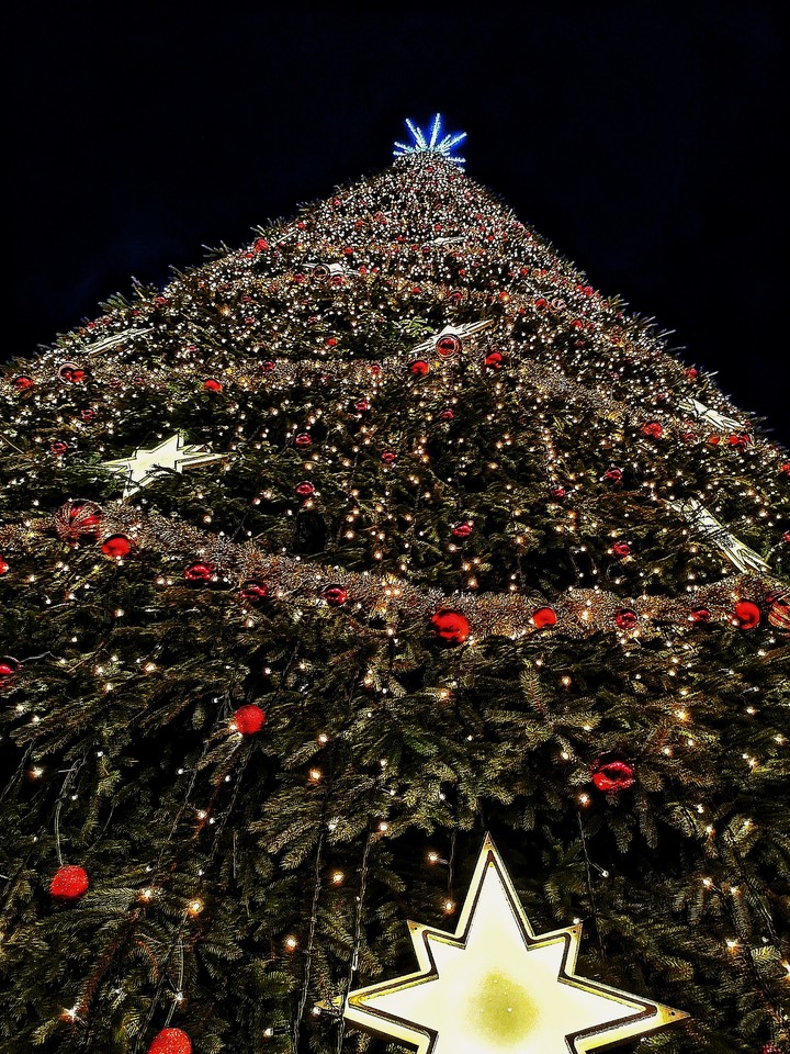 Christmas Tree