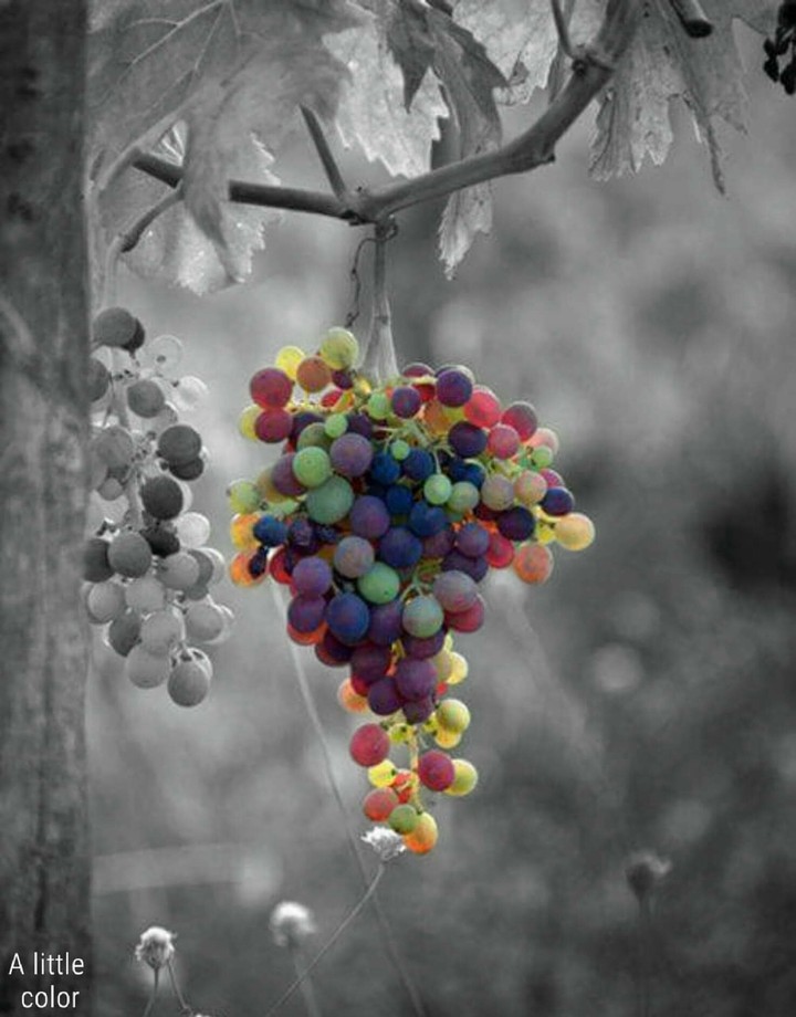 colourful