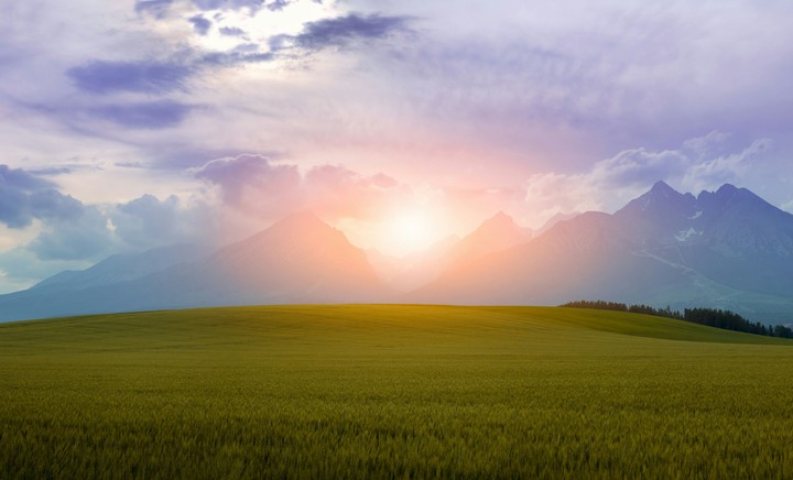 nature