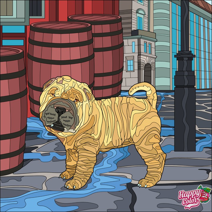 Cachorro